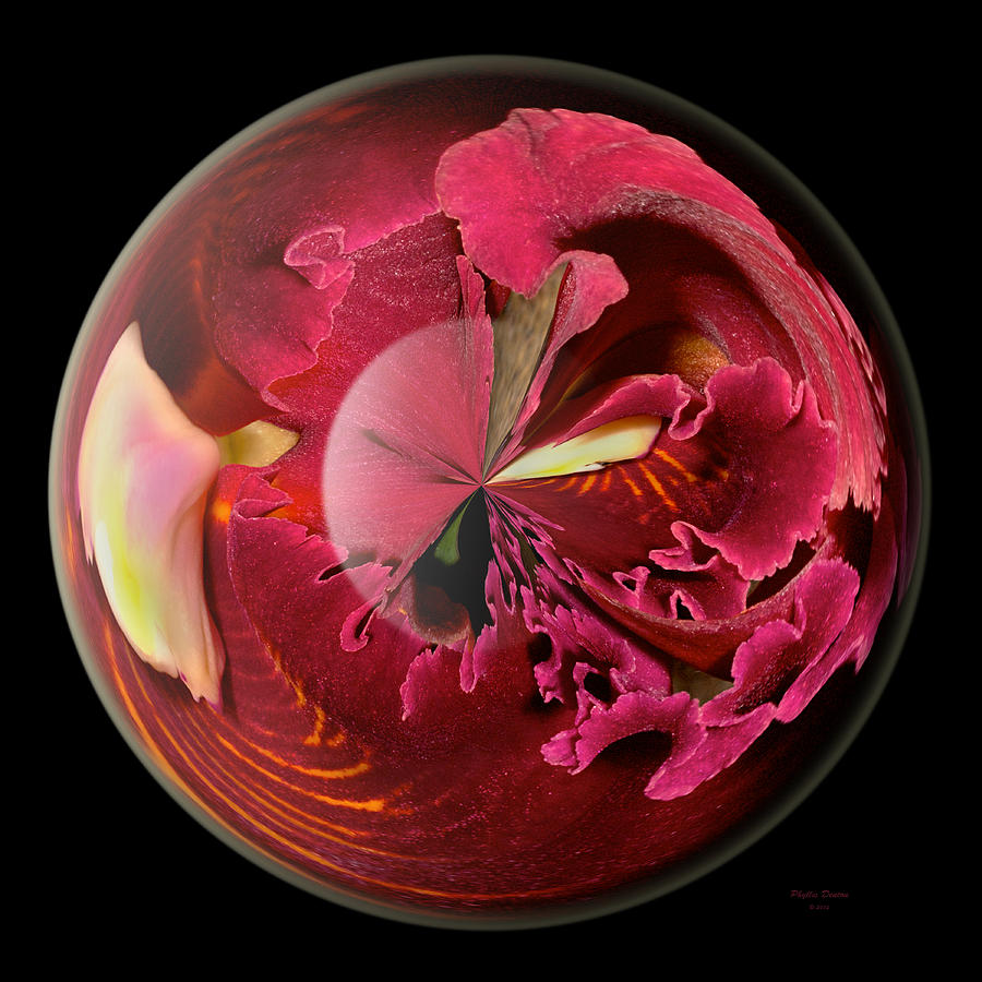 Burgundy Orchids In A Glass Globe Photograph by Phyllis Denton
