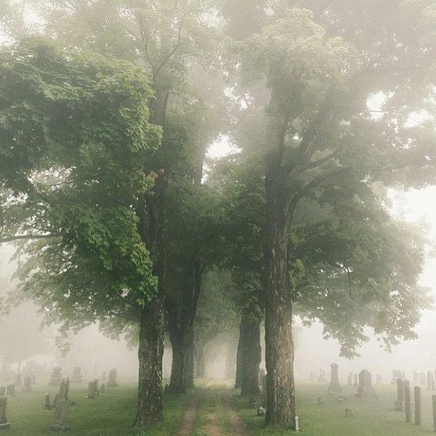 Buried In Fog Photograph by Mark Scheffer