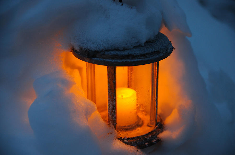 Winter Photograph - Buried in the Snow by Scott Angus