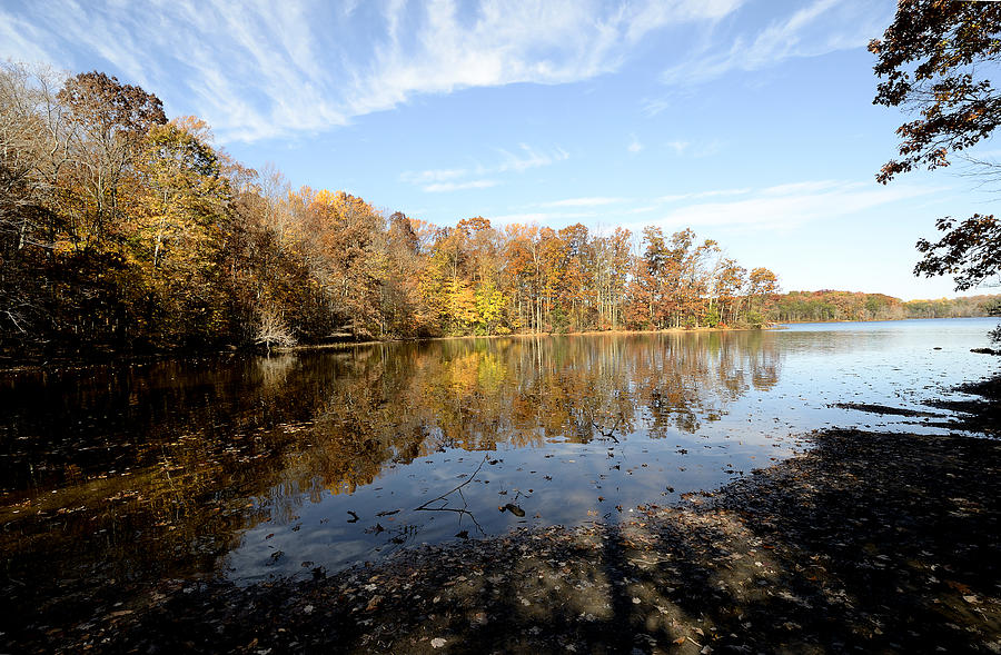 Burke Lake - Fairfax Virginia Photograph by Brendan Reals