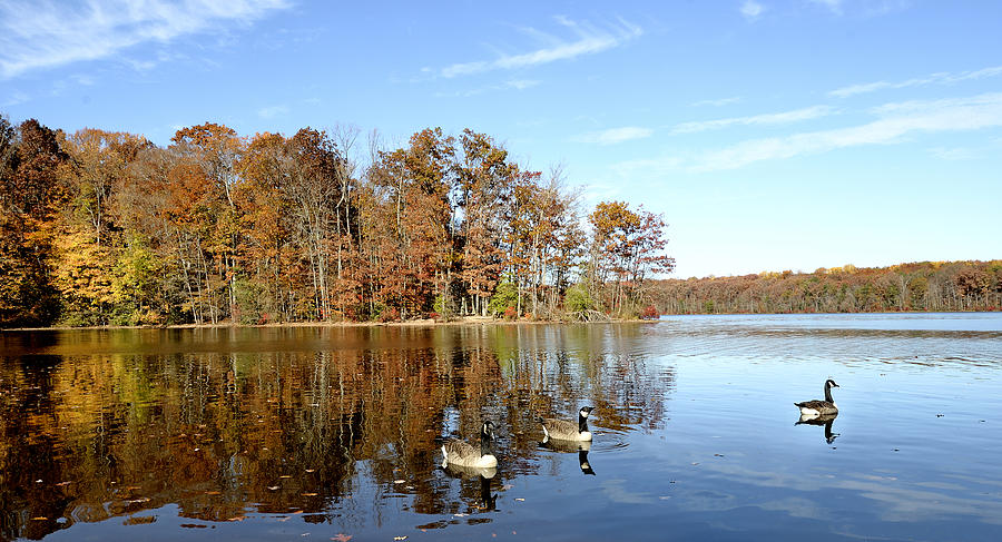 Burke Lake Park in Fairfax Virginia Photograph by Brendan Reals
