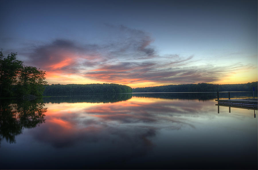 Tree Photograph - Burke Lake Reflection by Michael Donahue