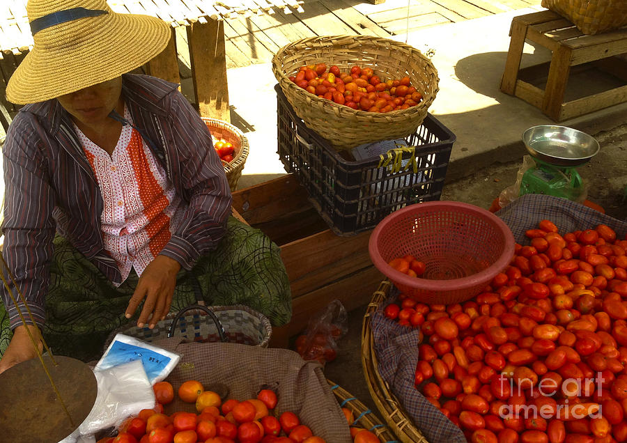 Burmese Lady selling Fresh Tomatoes Zay Cho Street Market 86th Street Mandalay Burma Photograph by PIXELS  XPOSED Ralph A Ledergerber Photography