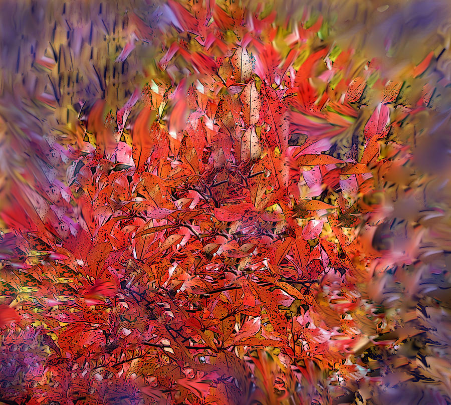 Burning Bush Digital Art by Ian  MacDonald