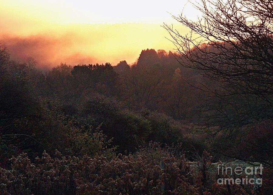 Sunset Photograph - Burning Fog of Morning by Christian Mattison