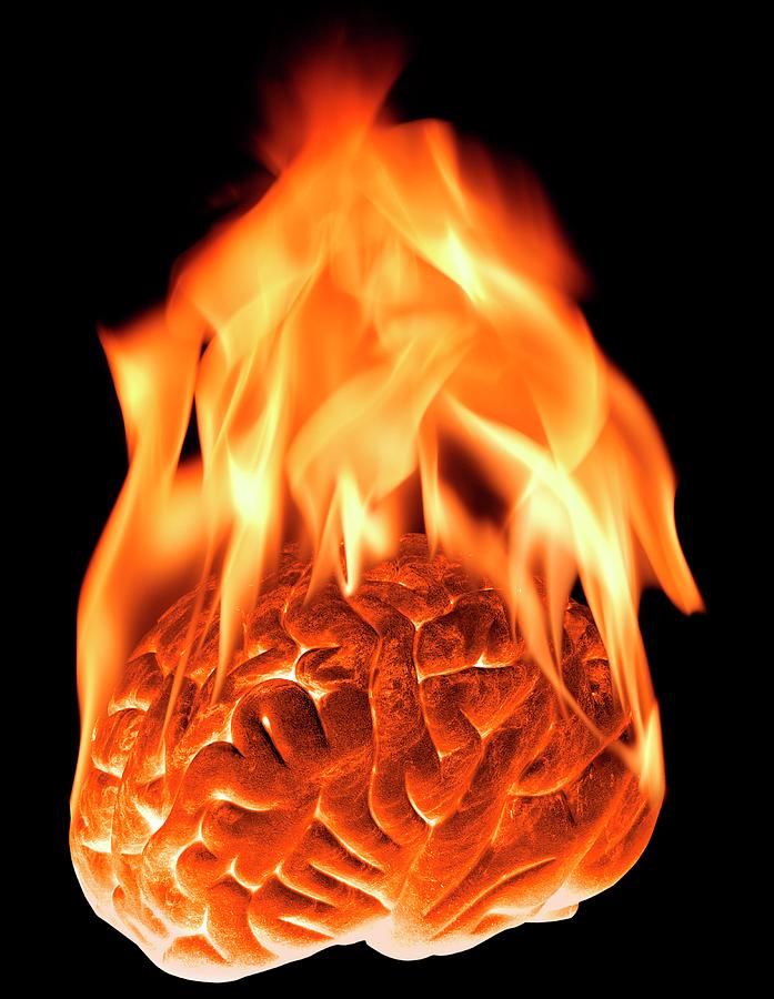 Burning Human Brain Photograph by Victor De Schwanberg