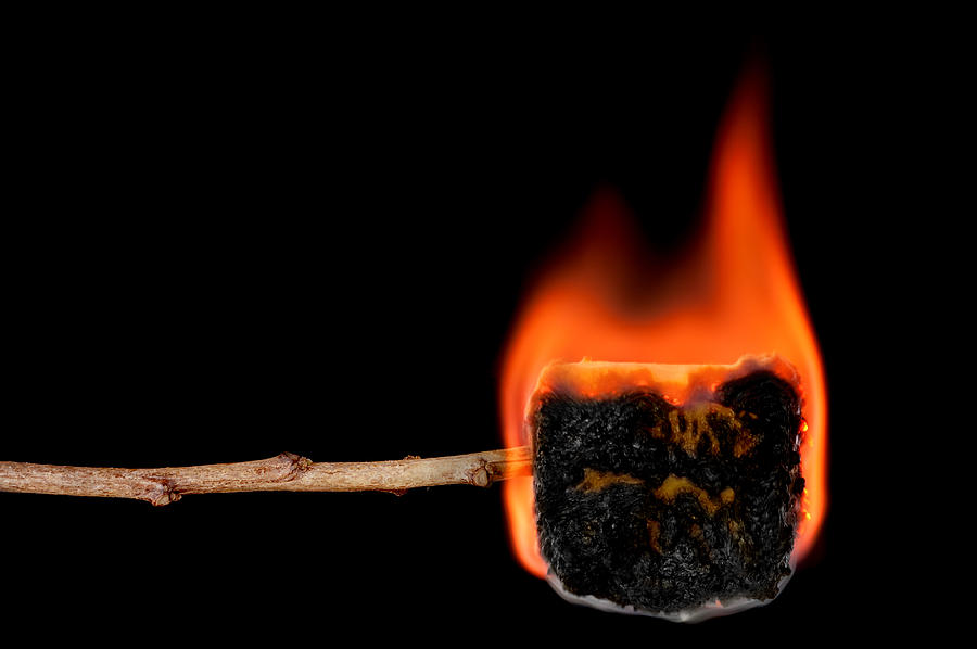 Candy Photograph - Burning marshmallow on a stick by Joe Belanger
