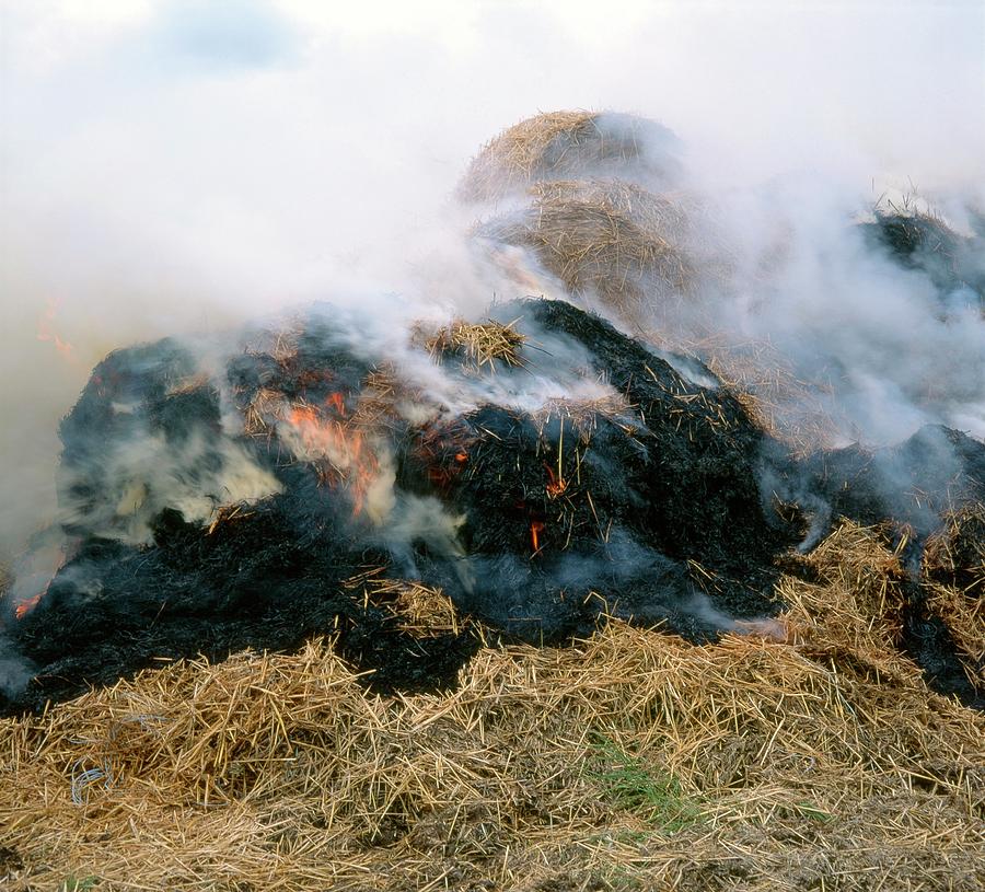 Farm Photograph - Burning Silage Heap by Robert Brook/science Photo Library