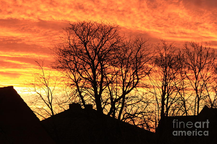 Sunset Photograph - Burning sky in the morning by Four Hands Art
