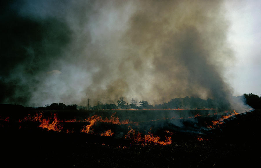 Burning Stubble In A Field Photograph by Dr. Jeremy Burgess/science Photo Library