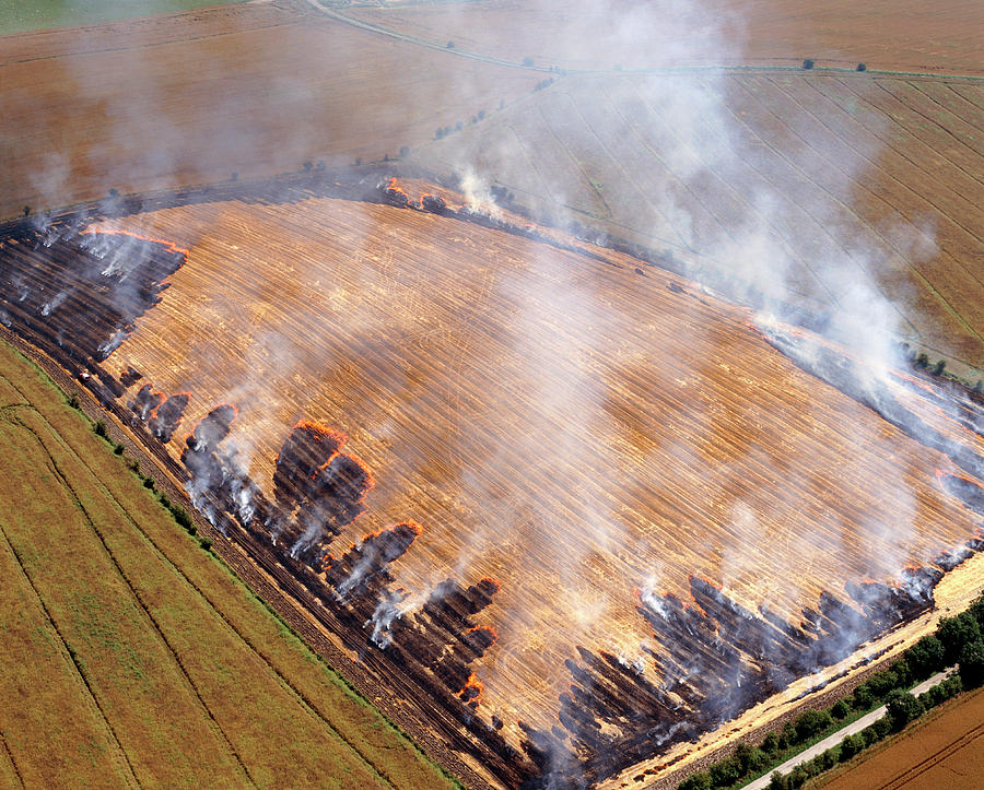 Burning Stubble In Field Photograph by David Parker/science Photo Library