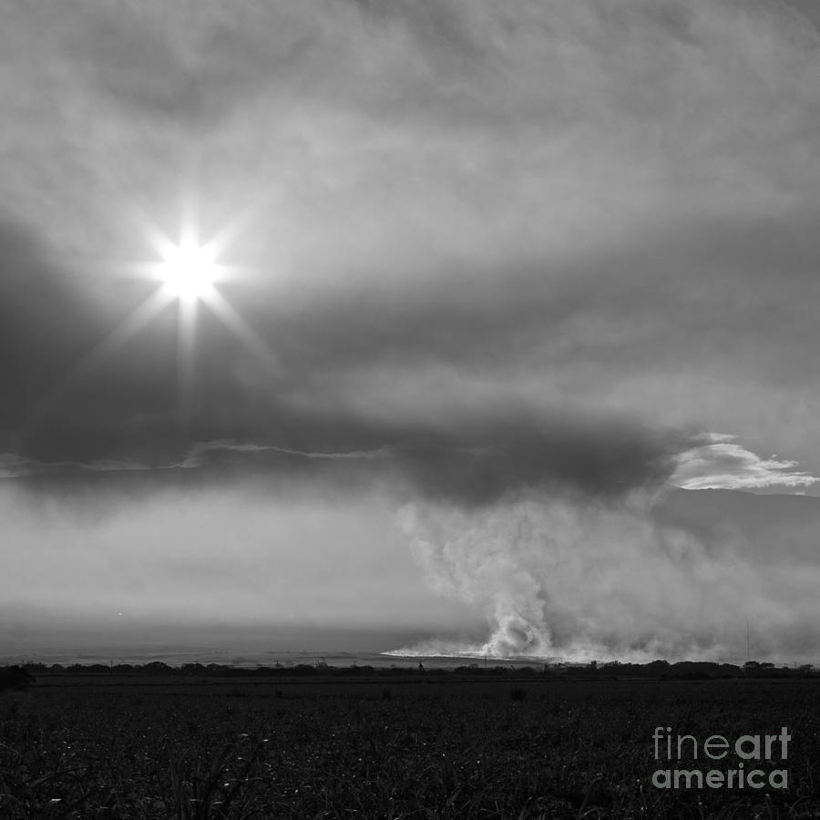 Burning sugar cane fields Maui Hawaii Photograph by Edward Fielding