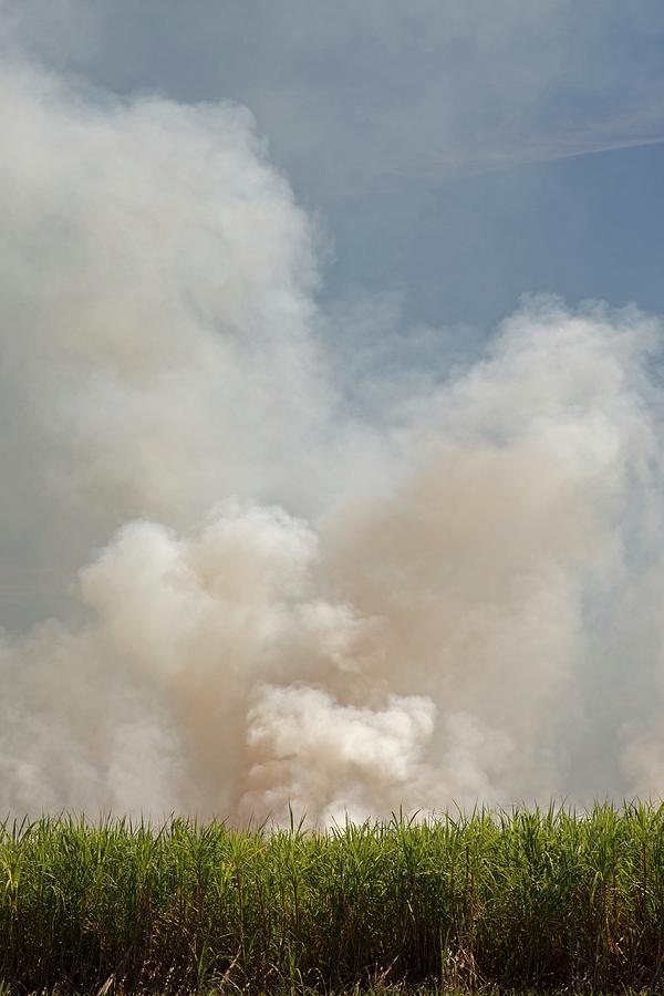 Burning Sugar Cane Photograph by Jim West