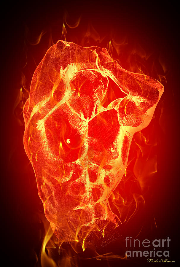 Fire Digital Art - Burning Up  by Mark Ashkenazi