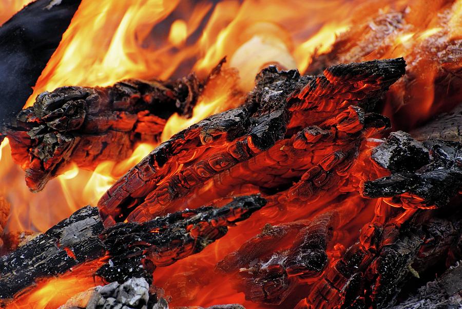 Burning Wood Photograph by Ian Gowland/science Photo Library
