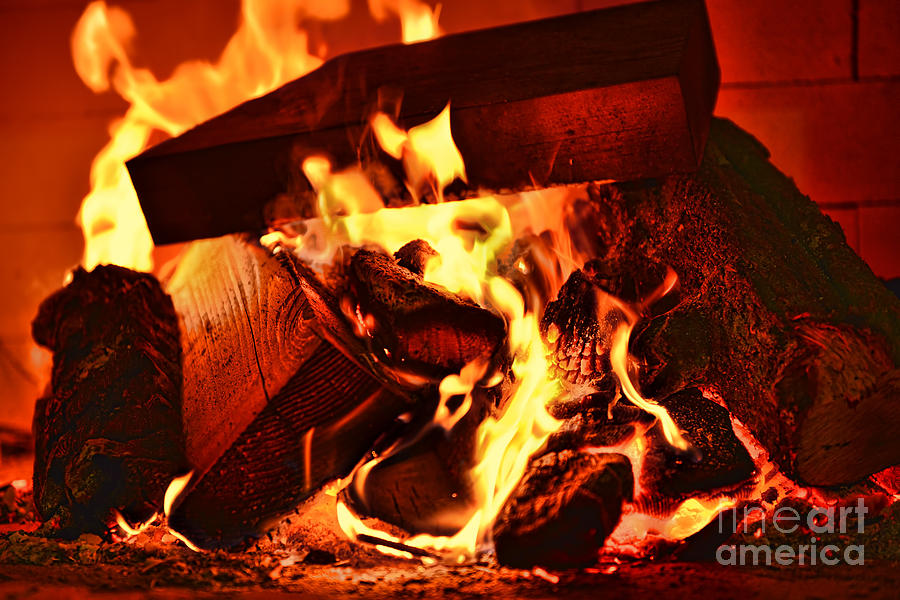 Burning Wood Photograph by Olga Hamilton