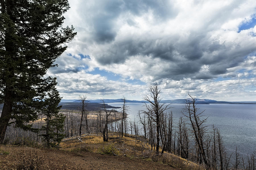 Burnt Beauty Over Yellowstone Lake - Yellowstone Photograph by Belinda ...