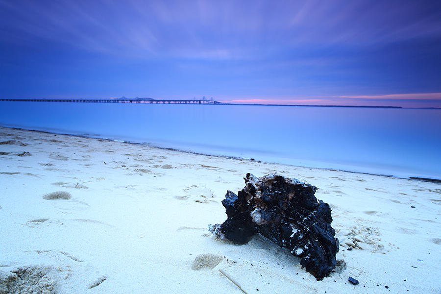 Beach Photograph - Burnt Driftwood Sunset by Jennifer Casey
