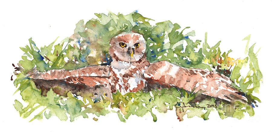 Burrowing Owl 3 Painting by Claudia Hafner