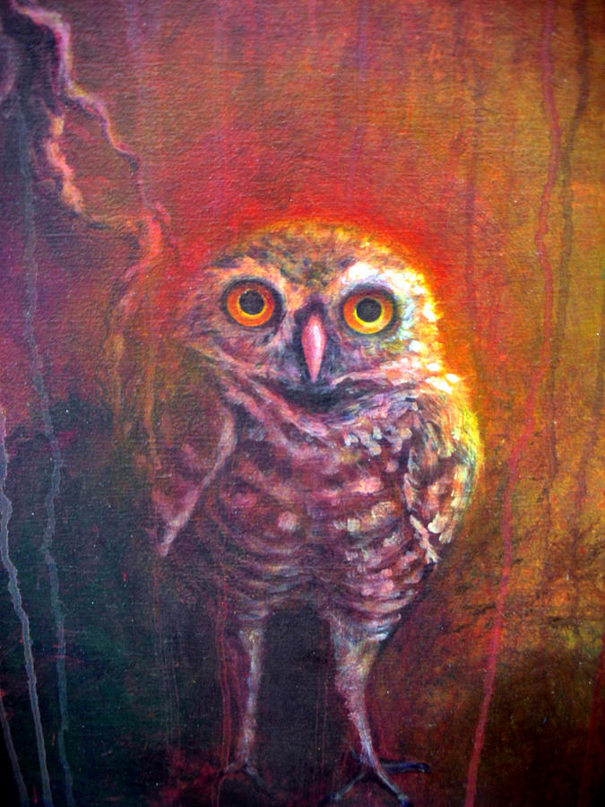 Burrowing Owl Painting by Ashley Kujan