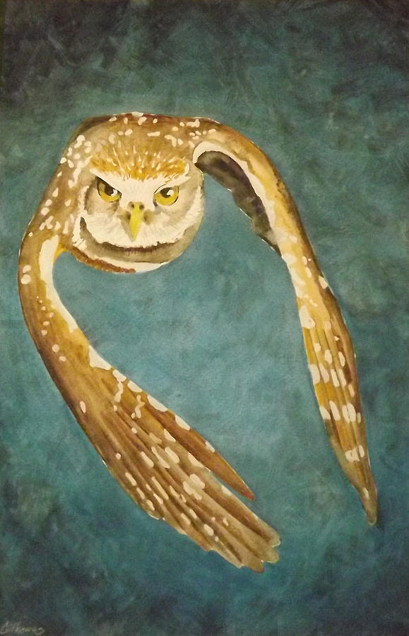 Owl Painting - Burrowing owl by Gary Thomas