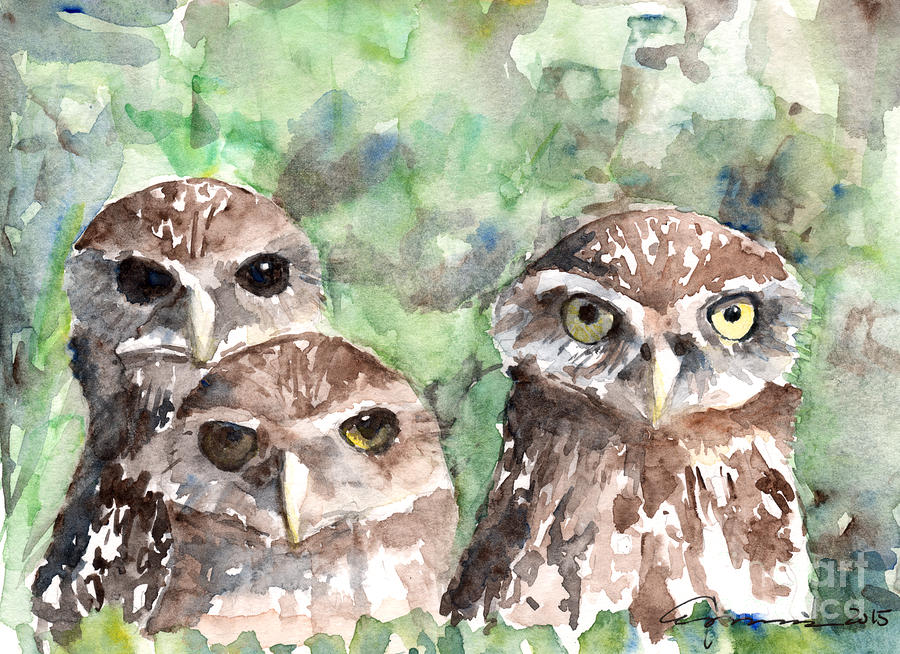 Burrowing Owls Painting by Claudia Hafner