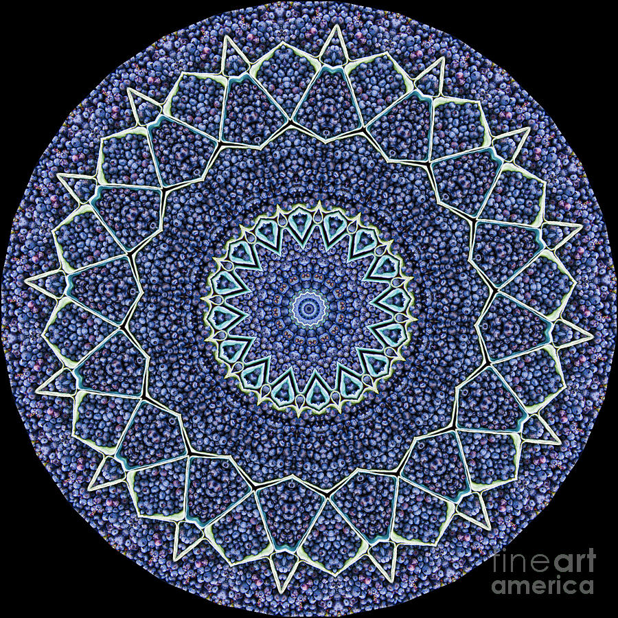 Burst of Blueberries Photograph by Patty Colabuono Burst of Blueberries Photograph by Patty Colabuono