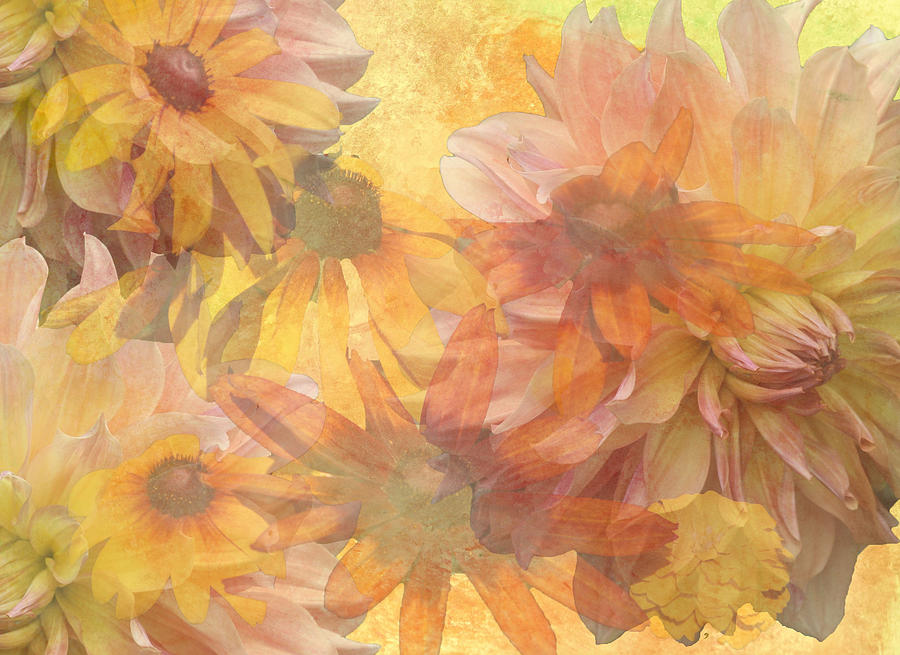 Daisy Digital Art - Burst of Spring by Donna Walsh