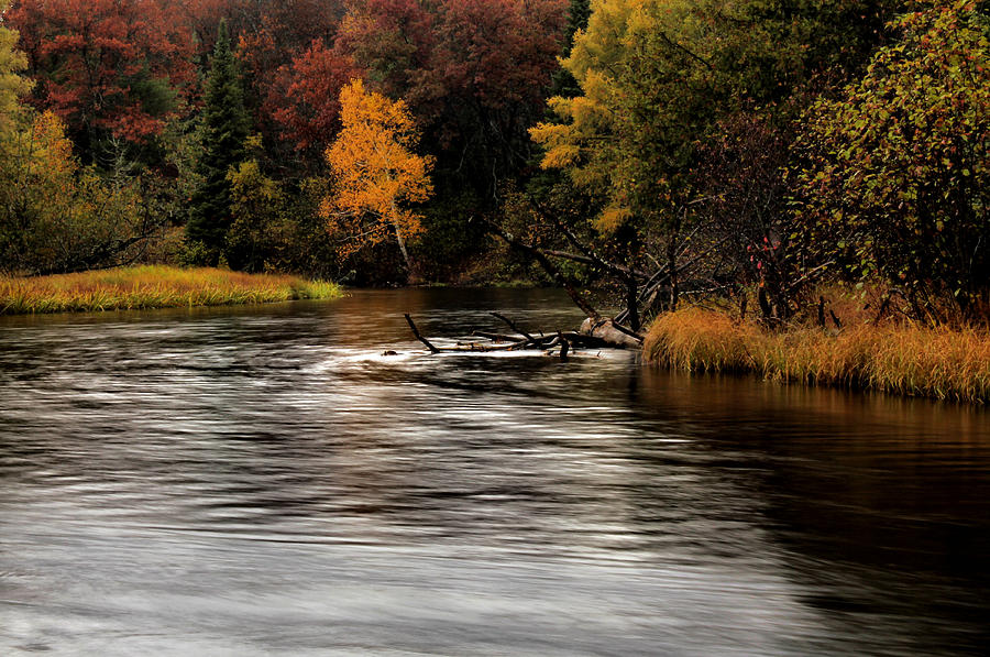 Burton's Landing: Your Gateway to Michigan's Natural Wonders