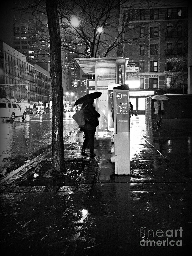 Bus Stop in the Rain Photograph by Miriam Danar - Fine Art America