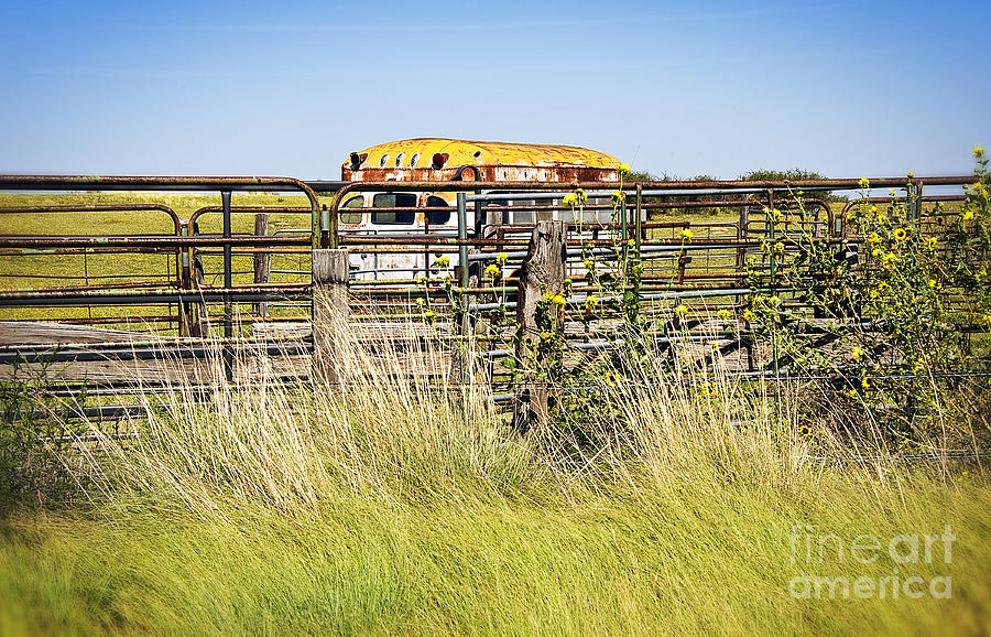 Bus Stop on Route 66 in Oklahoma Photograph by Lee Craig