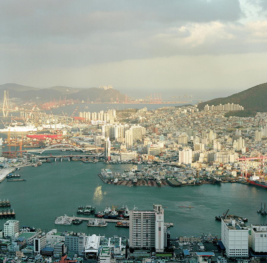 Busan Cityscape Photograph by Happyflightsmile