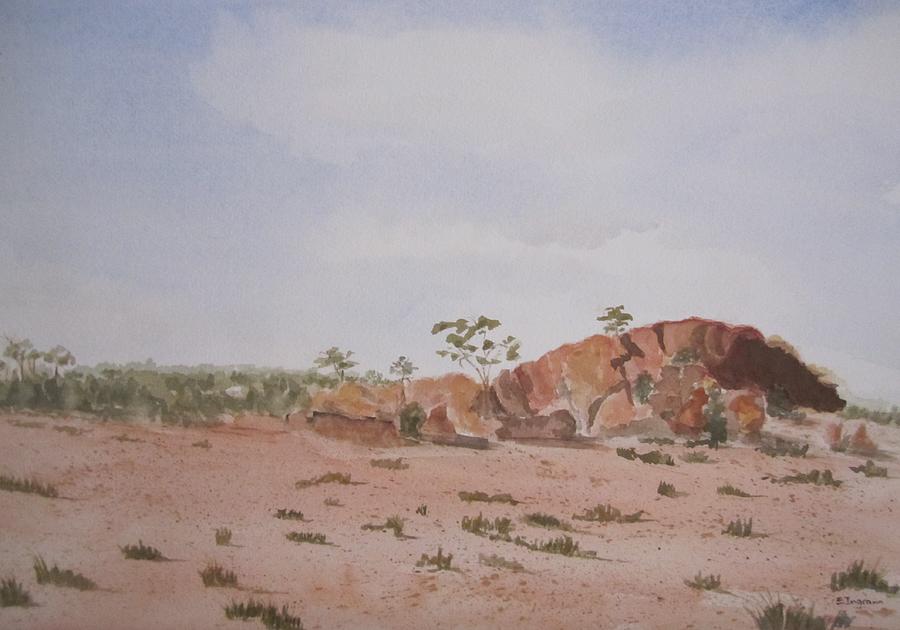 Bush Land  Painting by Elvira Ingram
