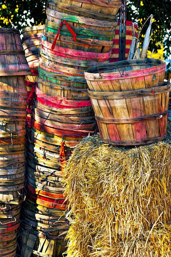Bushel Baskets Photograph by Richard Lynch