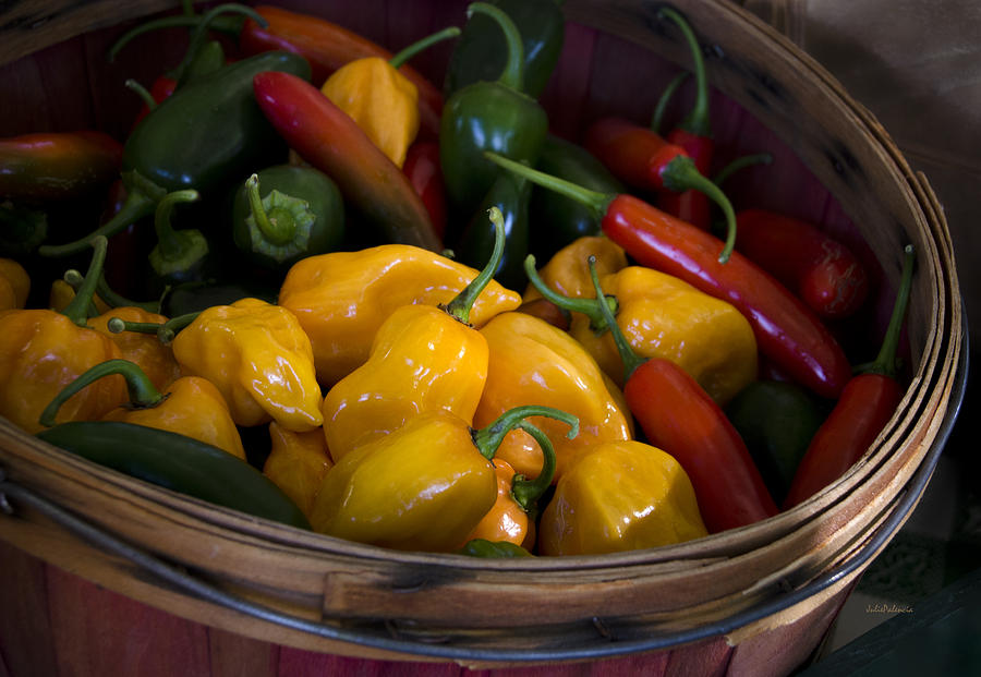 Vegetable Photograph - Bushel of Peppers by Julie Palencia