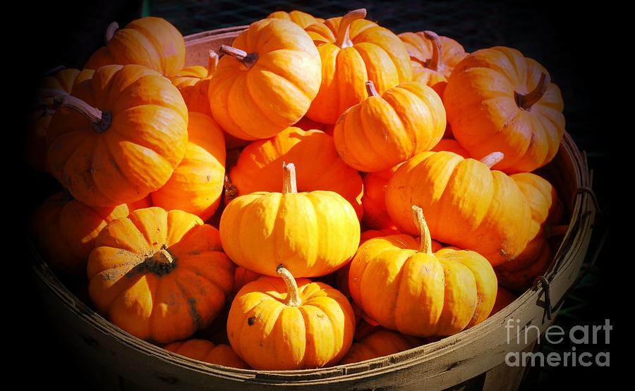 Fall Photograph - Bushel Of Pumpkins by Kathleen Struckle