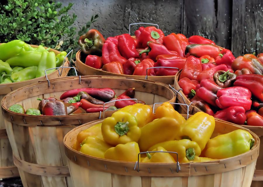 Bushels of Peppers Photograph by Janice Drew