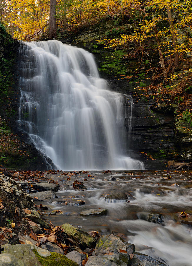 Bushkill Falls Photograph by Yue Wang