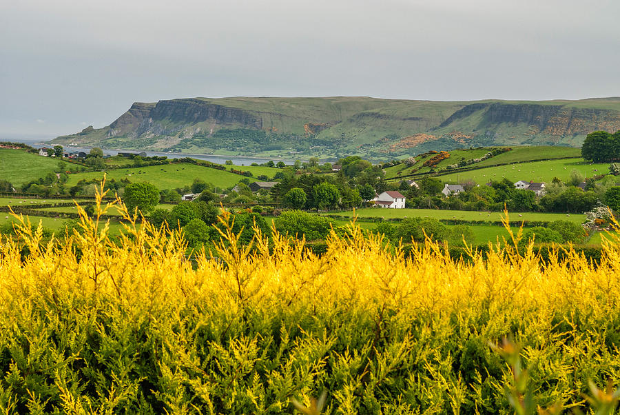 Bushmills, Northern Ireland Photograph by James Steinberg