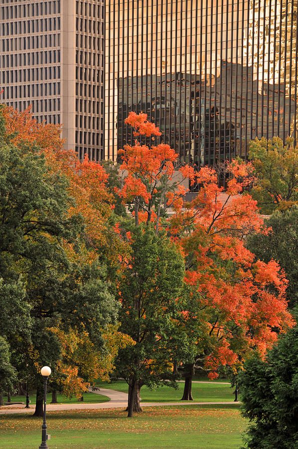 Fall Photograph - Bushnell Park by Mike Martin