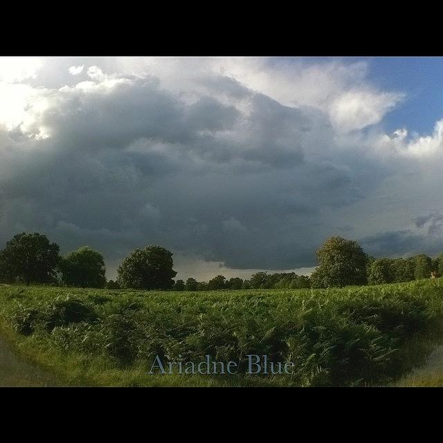 Hampton Photograph - ##bushypark #hampton #thunderstorm by Ariadne Blue