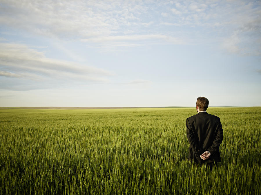 Businessman standing in wheat field looking out Photograph by Thomas Barwick