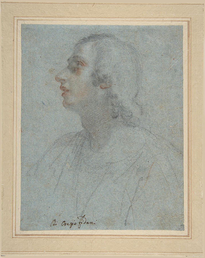 Bust of a Youth Looking to Upper Left  Drawing by Orazio Fidani