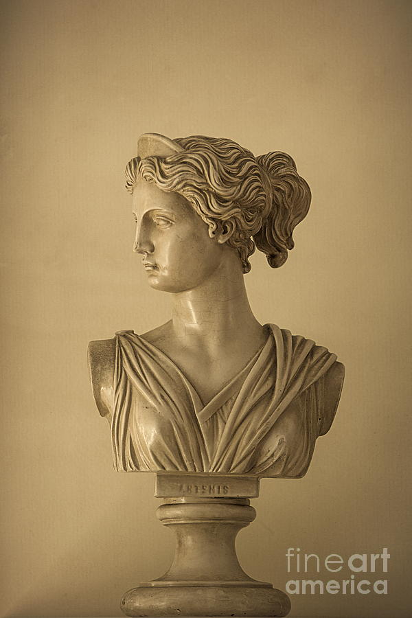Huntress Photograph - Bust of Artemis by Diane Diederich