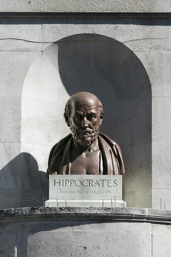 Bust Of Hippocrates Photograph by Martin Bond/science Photo Library