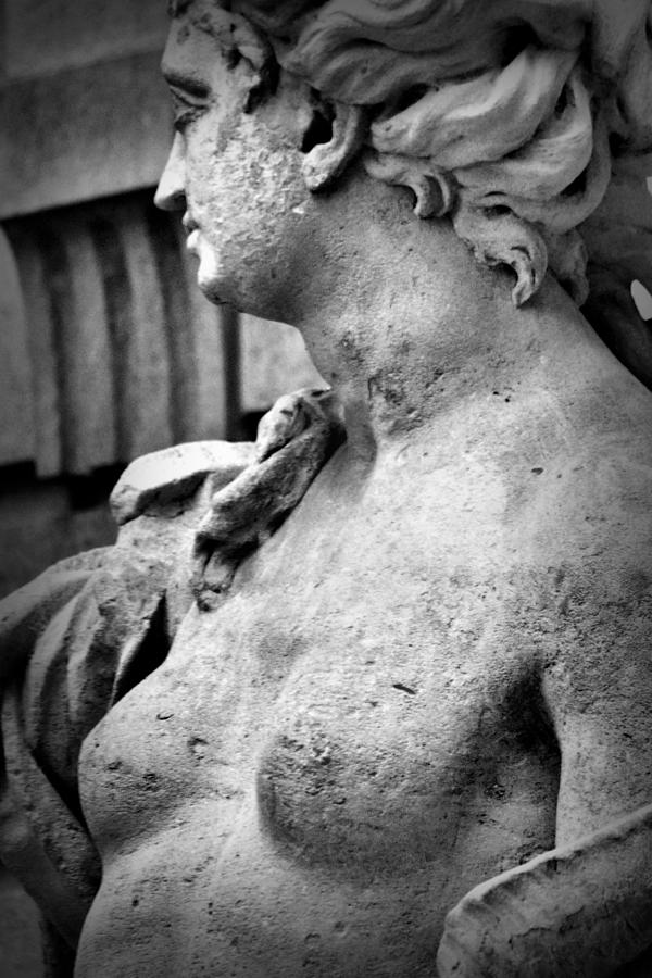 Bust of Venus Photograph by Nadalyn Larsen