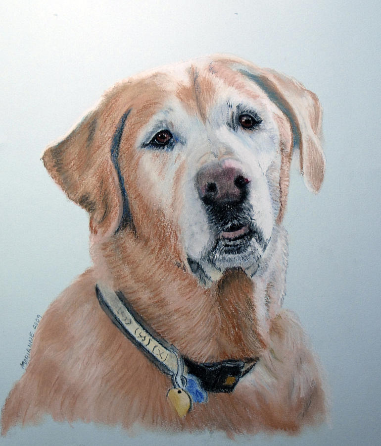 Labrador Retriever Pastel - Buster Boy by Marianne Miles