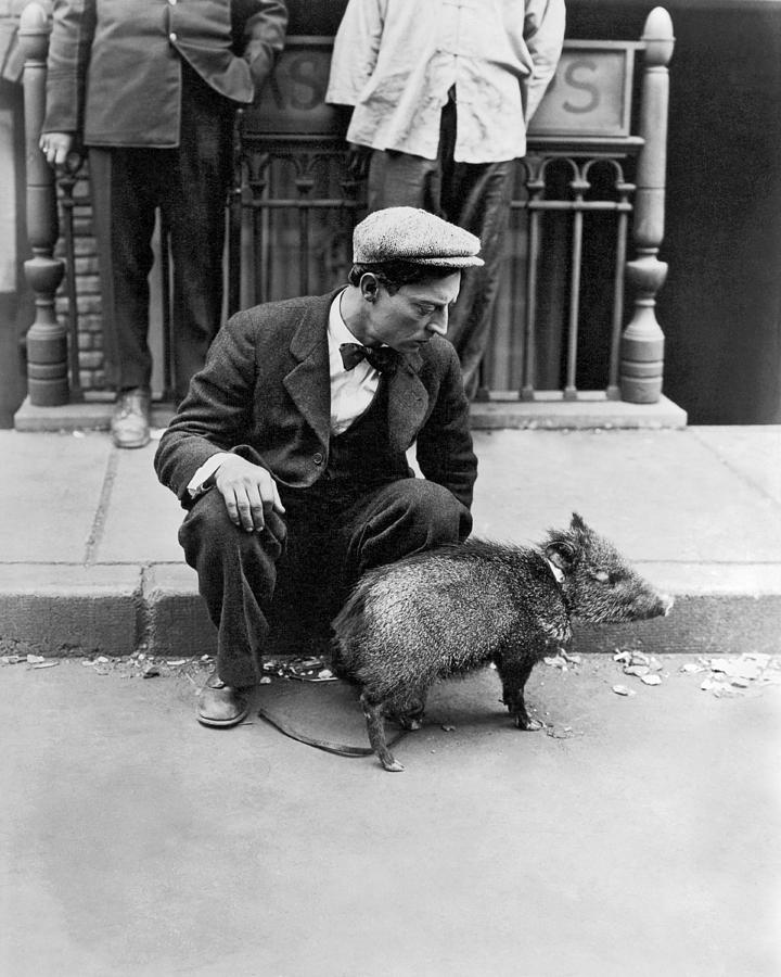 Buster Keaton With A Peccary Photograph by Underwood Archives