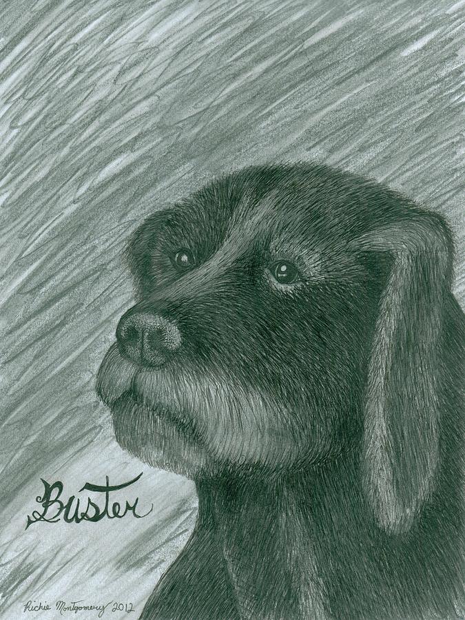 Buster Drawing