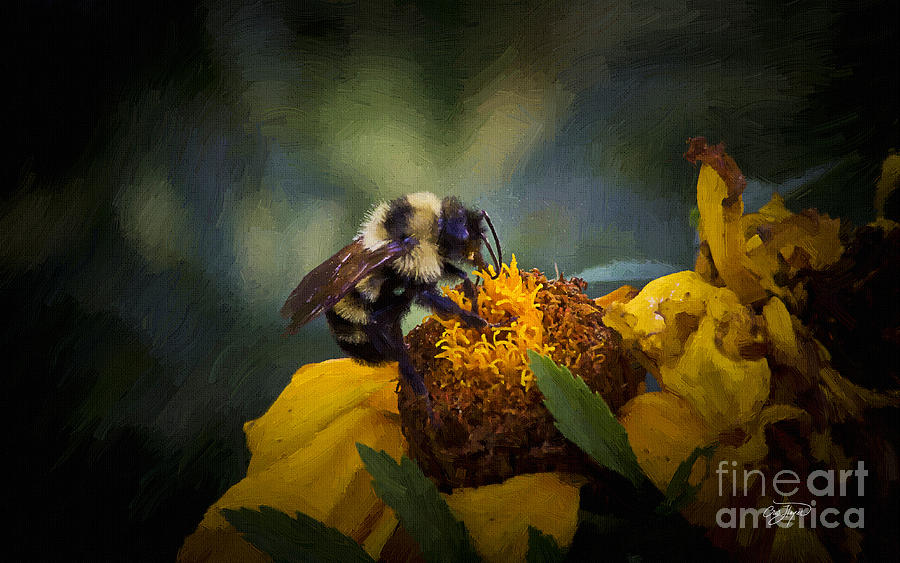 Golf Photograph - Busy Bee Oil by Cris Hayes